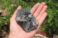 Natural Libethenite Crystals On Dolomite Matrix Specimens x 4 From Shituru, Congo
