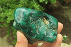 Polished Flower Banded Malachite Free Forms x 3 From Congo - Toprock Gemstones and Minerals 
