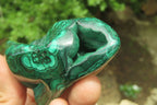 Polished Flower Banded Malachite Free Forms x 3 From Congo - Toprock Gemstones and Minerals 