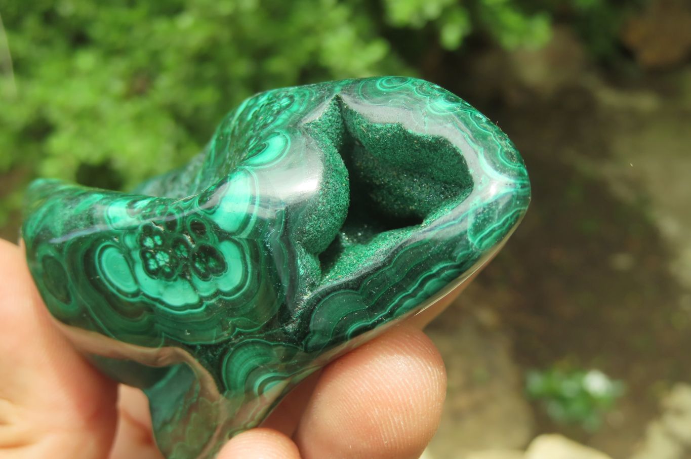 Polished Flower Banded Malachite Free Forms x 3 From Congo - Toprock Gemstones and Minerals 