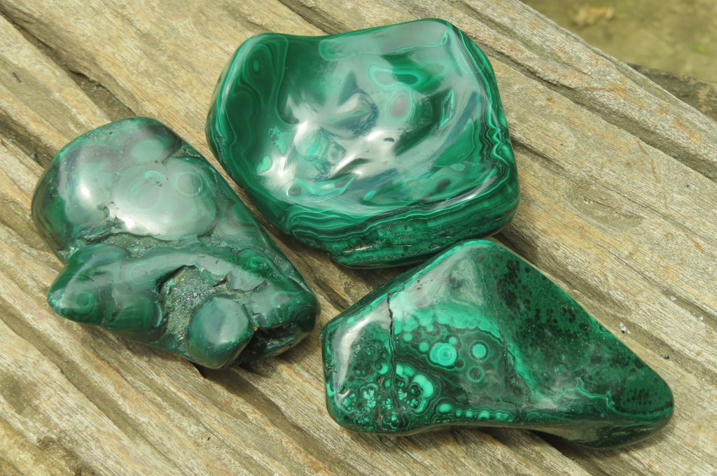 Polished Flower Banded Malachite Free Forms x 3 From Congo - Toprock Gemstones and Minerals 