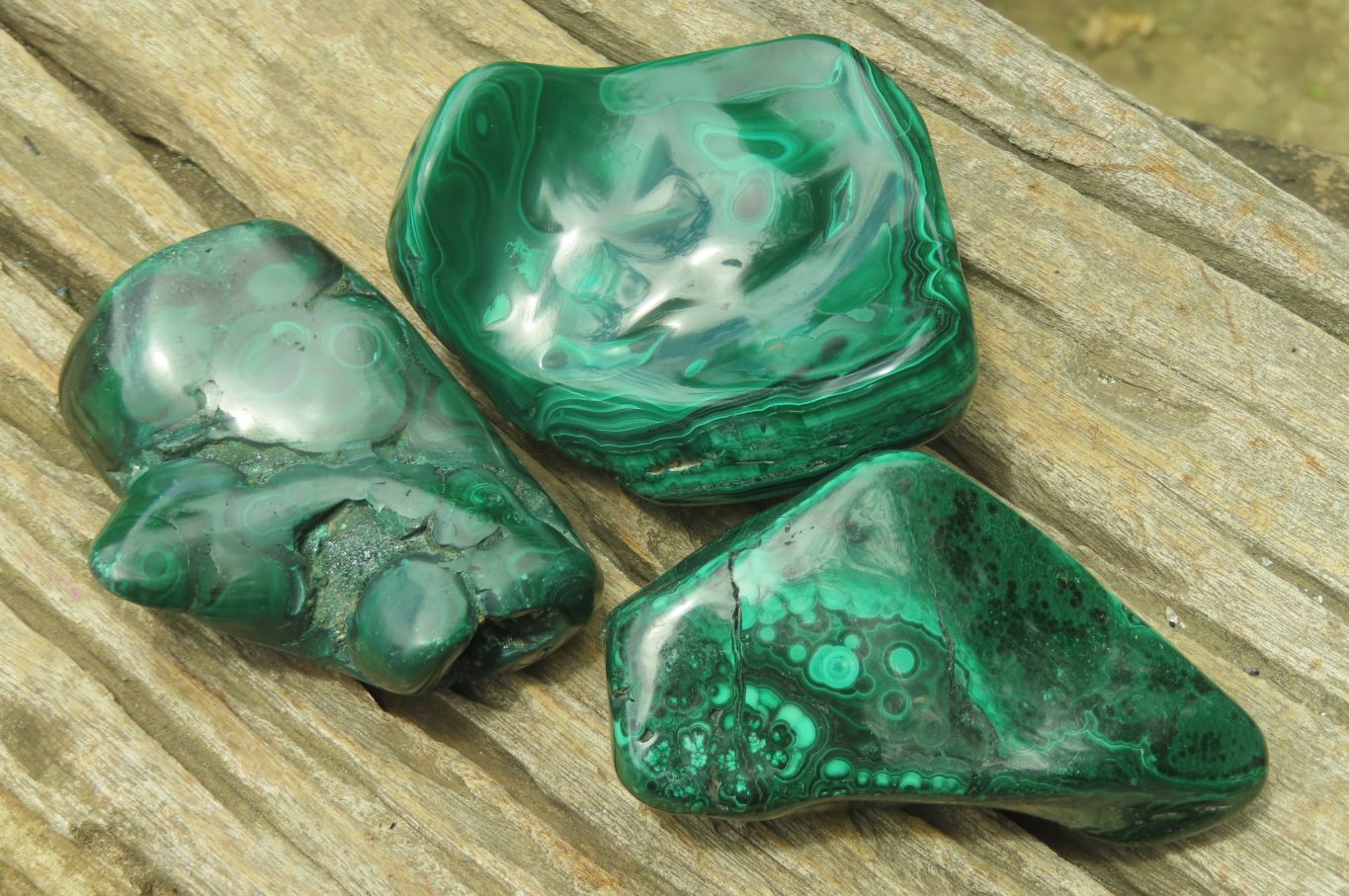 Polished Flower Banded Malachite Free Forms x 3 From Congo - Toprock Gemstones and Minerals 