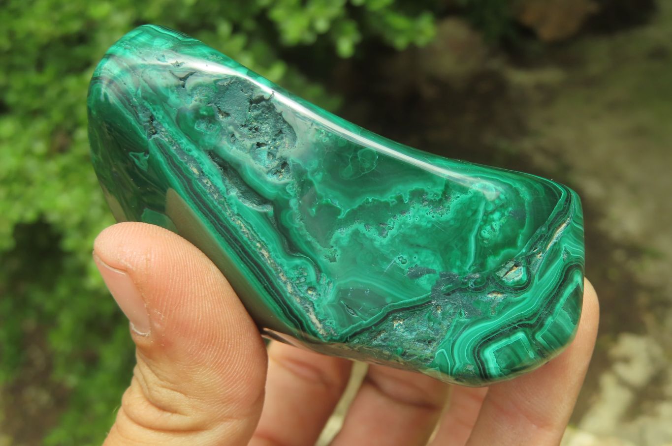 Polished Flower Banded Malachite Free Forms x 3 From Congo - Toprock Gemstones and Minerals 