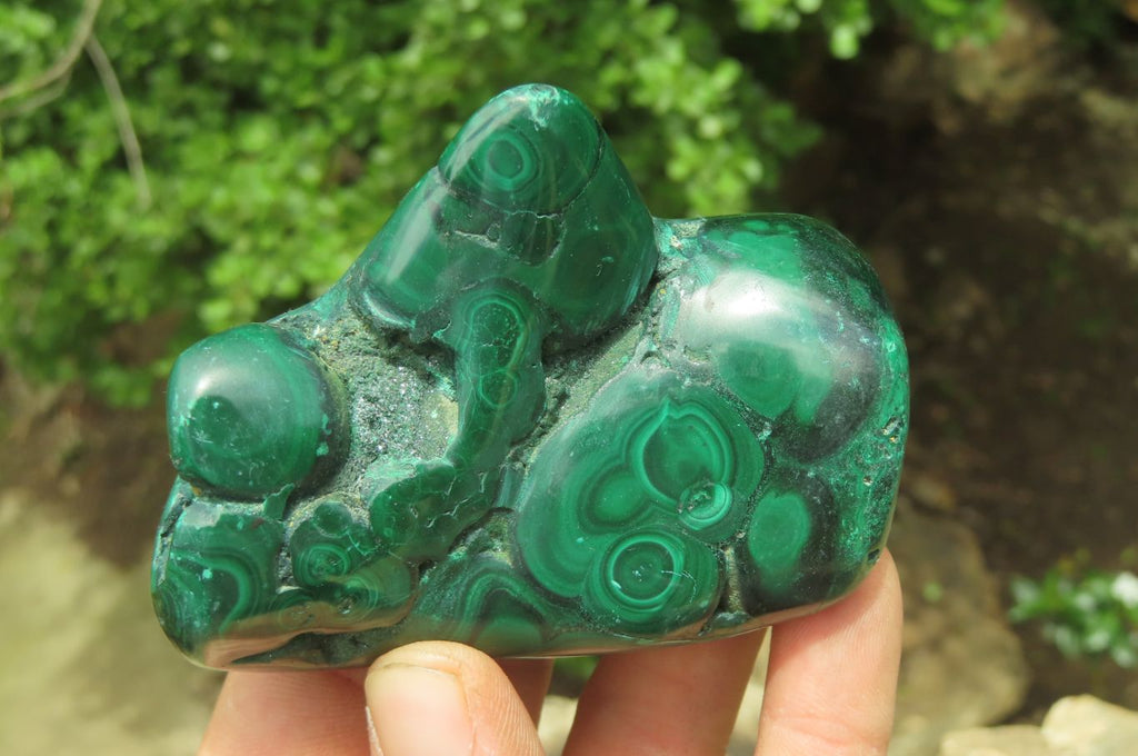 Polished Flower Banded Malachite Free Forms x 3 From Congo - Toprock Gemstones and Minerals 