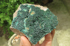 Natural Botryoidal Malachite Specimens x 6 From Tenke Fungurume, Congo - Toprock Gemstones and Minerals 