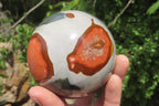 Polished Polychrome Jasper Spheres x 3 From Madagascar - Toprock Gemstones and Minerals 