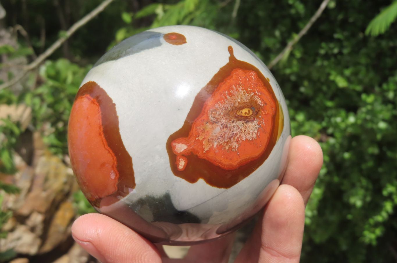Polished Polychrome Jasper Spheres x 3 From Madagascar - Toprock Gemstones and Minerals 
