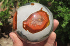 Polished Polychrome Jasper Spheres x 3 From Madagascar - Toprock Gemstones and Minerals 