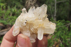 Natural Clear Quartz Clusters x 35 From Madagascar - Toprock Gemstones and Minerals 