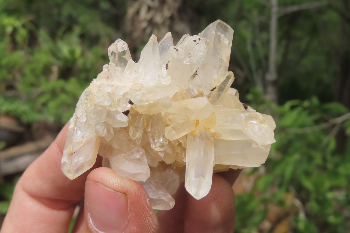 Natural Clear Quartz Clusters x 35 From Madagascar - Toprock Gemstones and Minerals 