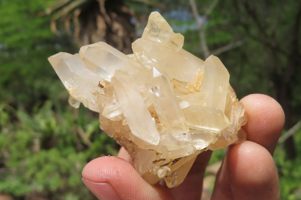 Natural Clear Quartz Clusters x 35 From Madagascar - Toprock Gemstones and Minerals 