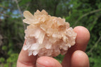 Natural Clear Quartz Clusters x 35 From Madagascar - Toprock Gemstones and Minerals 