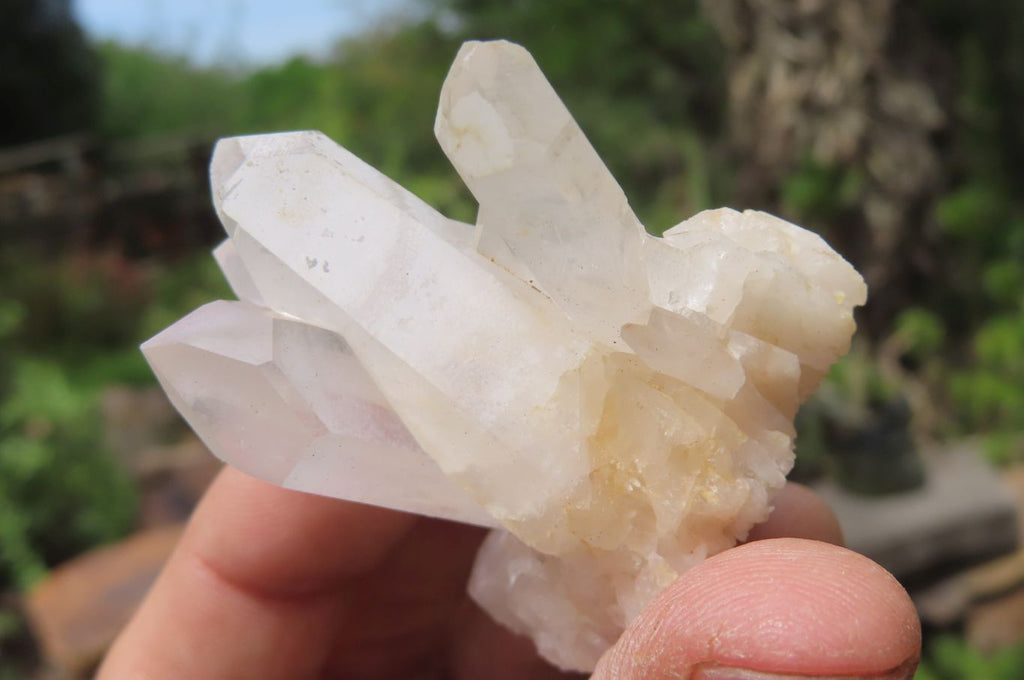 Natural Clear Quartz Clusters x 35 From Madagascar - Toprock Gemstones and Minerals 