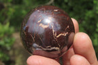 Polished Red Jasper Spheres x 12 From Northern Cape, South Africa - Toprock Gemstones and Minerals 