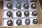 Polished Red Jasper Spheres x 12 From Northern Cape, South Africa - Toprock Gemstones and Minerals 
