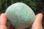 Polished Amazonite Standing Free Forms x 12 From Zimbabwe - Toprock Gemstones and Minerals 