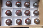 Polished Red Jasper Spheres x 12 From Northern Cape, South Africa - Toprock Gemstones and Minerals 