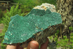 Natural Botryoidal Malachite Specimens x 3 From Tenke Fungurume, Congo - Toprock Gemstones and Minerals 