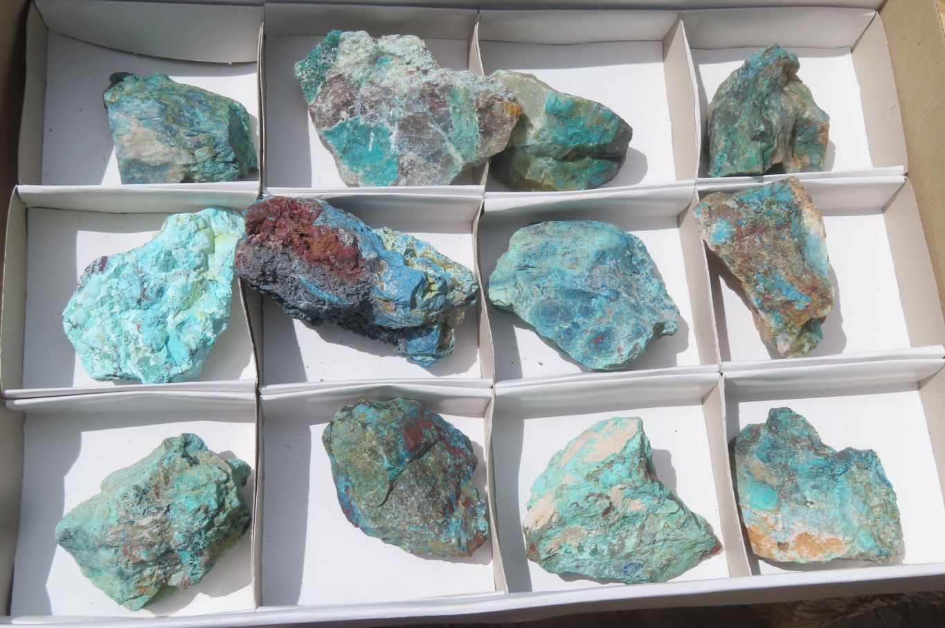 Natural Shattuckite with Chrysocolla & Malachite x 12 from Kaokoveld, Namibia - Toprock Gemstones and Minerals 