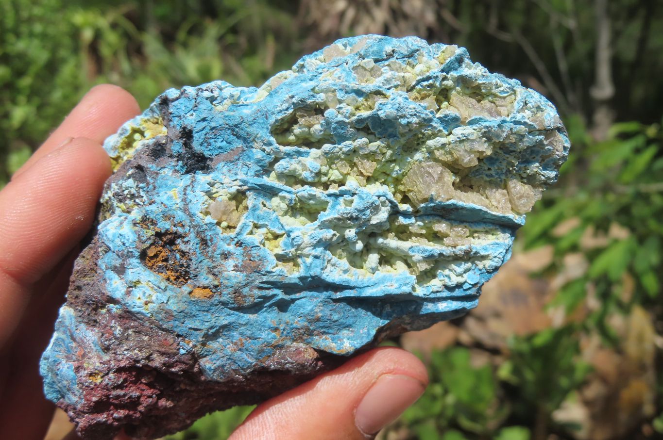Natural Shattuckite with Chrysocolla & Malachite x 12 from Kaokoveld, Namibia - Toprock Gemstones and Minerals 