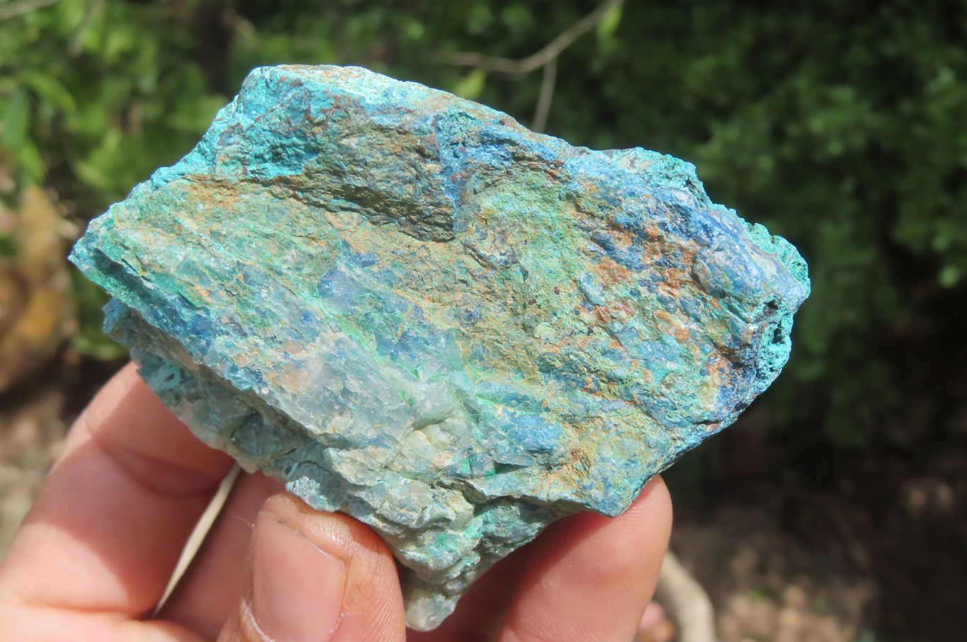 Natural Shattuckite with Chrysocolla & Malachite x 12 from Kaokoveld, Namibia - Toprock Gemstones and Minerals 