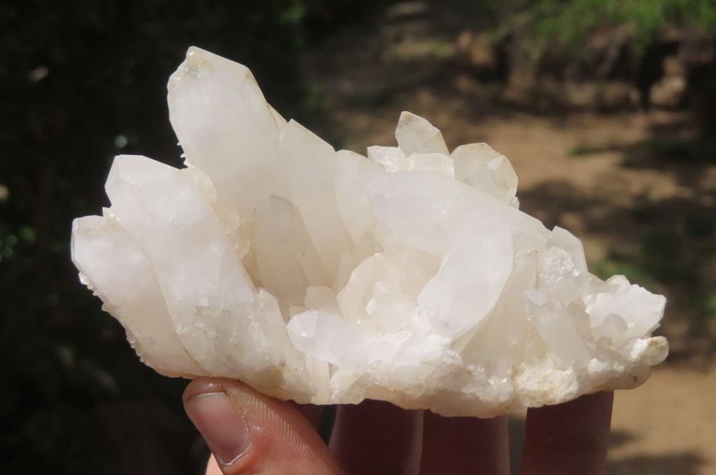 Natural Clear Quartz Clusters x 6 From Madagascar - Toprock Gemstones and Minerals 
