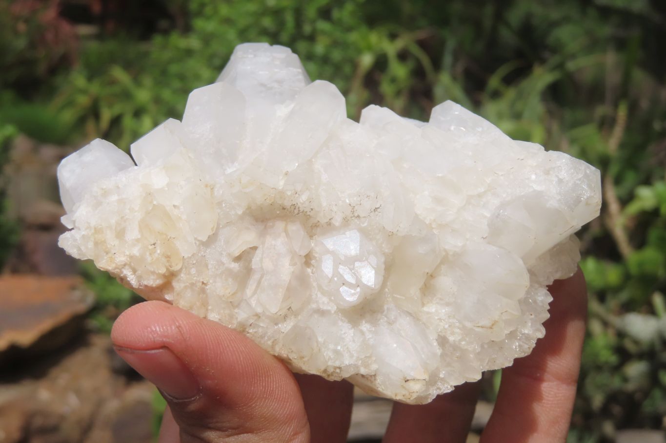 Natural Clear Quartz Clusters x 6 From Madagascar - Toprock Gemstones and Minerals 
