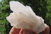 Natural Clear Quartz Clusters x 6 From Madagascar - Toprock Gemstones and Minerals 