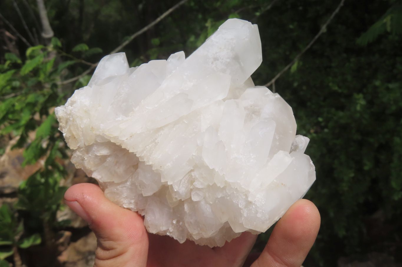 Natural Clear Quartz Clusters x 6 From Madagascar - Toprock Gemstones and Minerals 