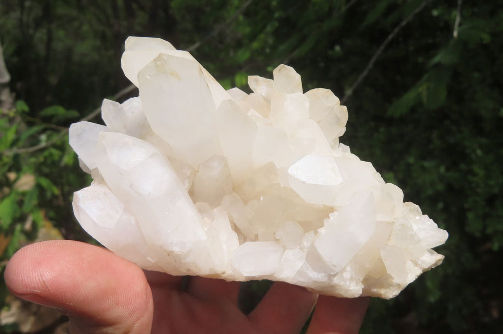 Natural Clear Quartz Clusters x 6 From Madagascar - Toprock Gemstones and Minerals 