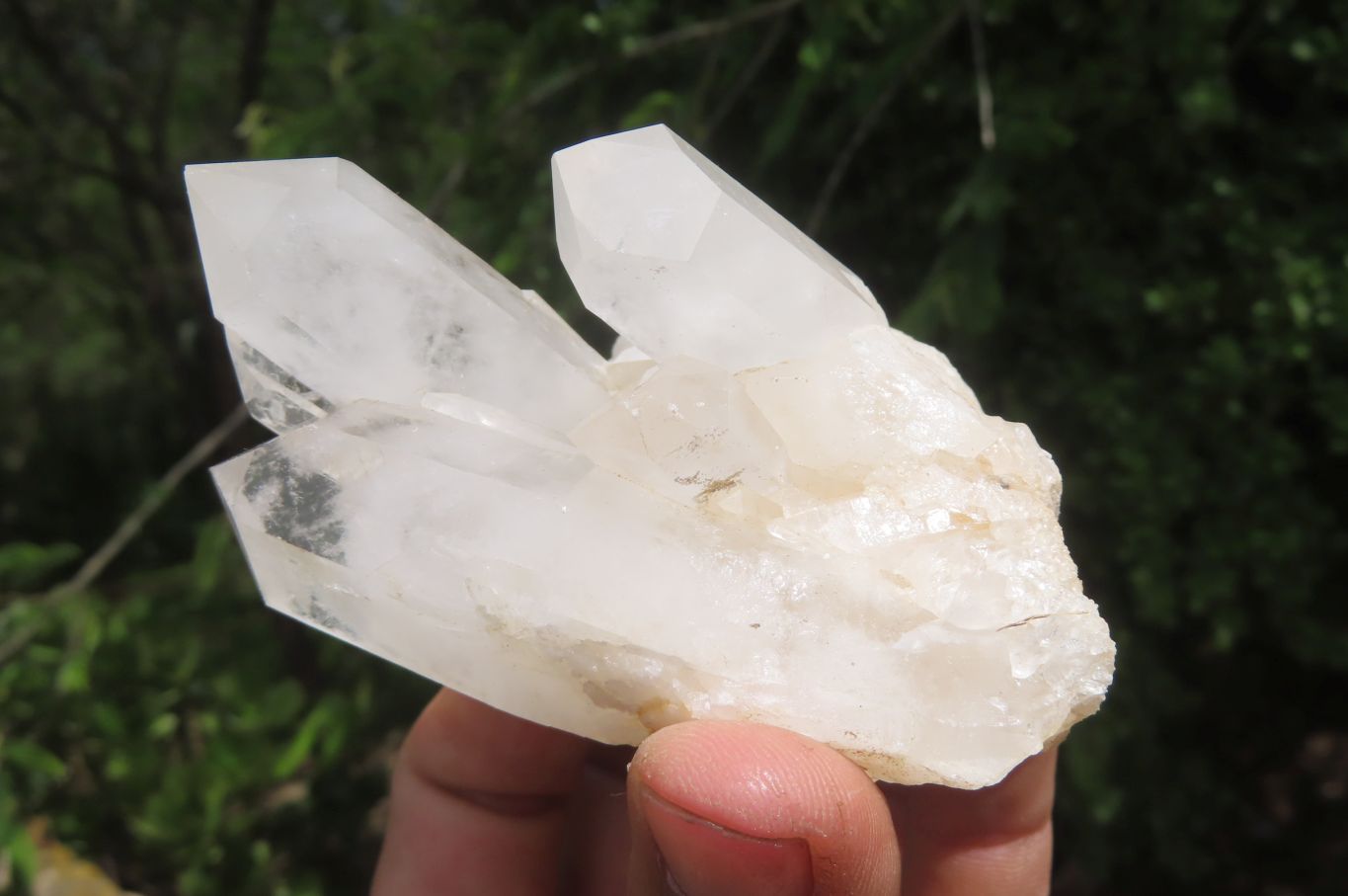 Natural Clear Quartz Clusters x 6 From Madagascar - Toprock Gemstones and Minerals 