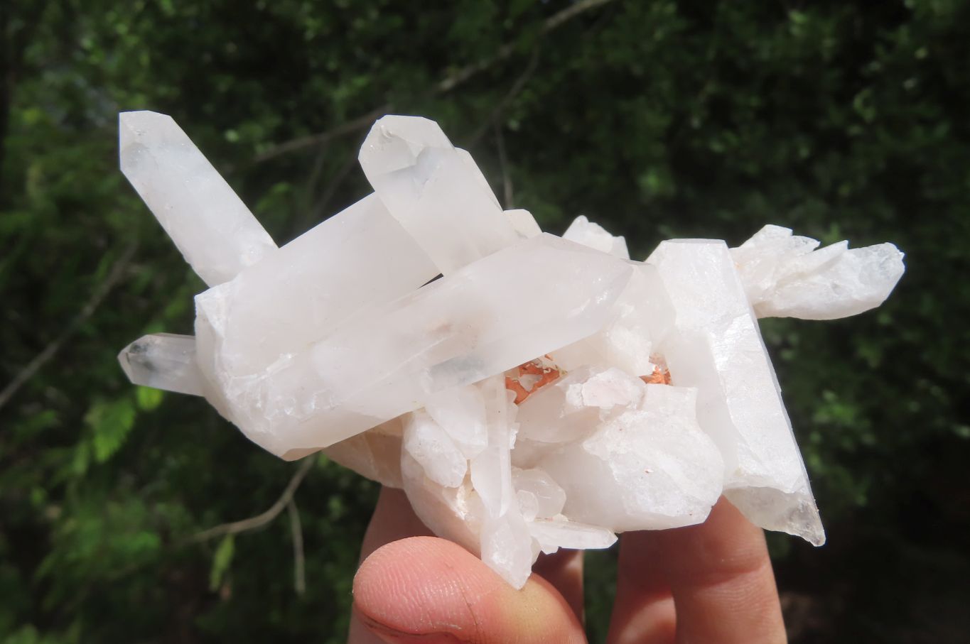 Natural Clear Quartz Clusters x 6 From Madagascar - Toprock Gemstones and Minerals 