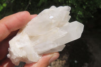 Natural Clear Quartz Clusters x 6 From Madagascar - Toprock Gemstones and Minerals 