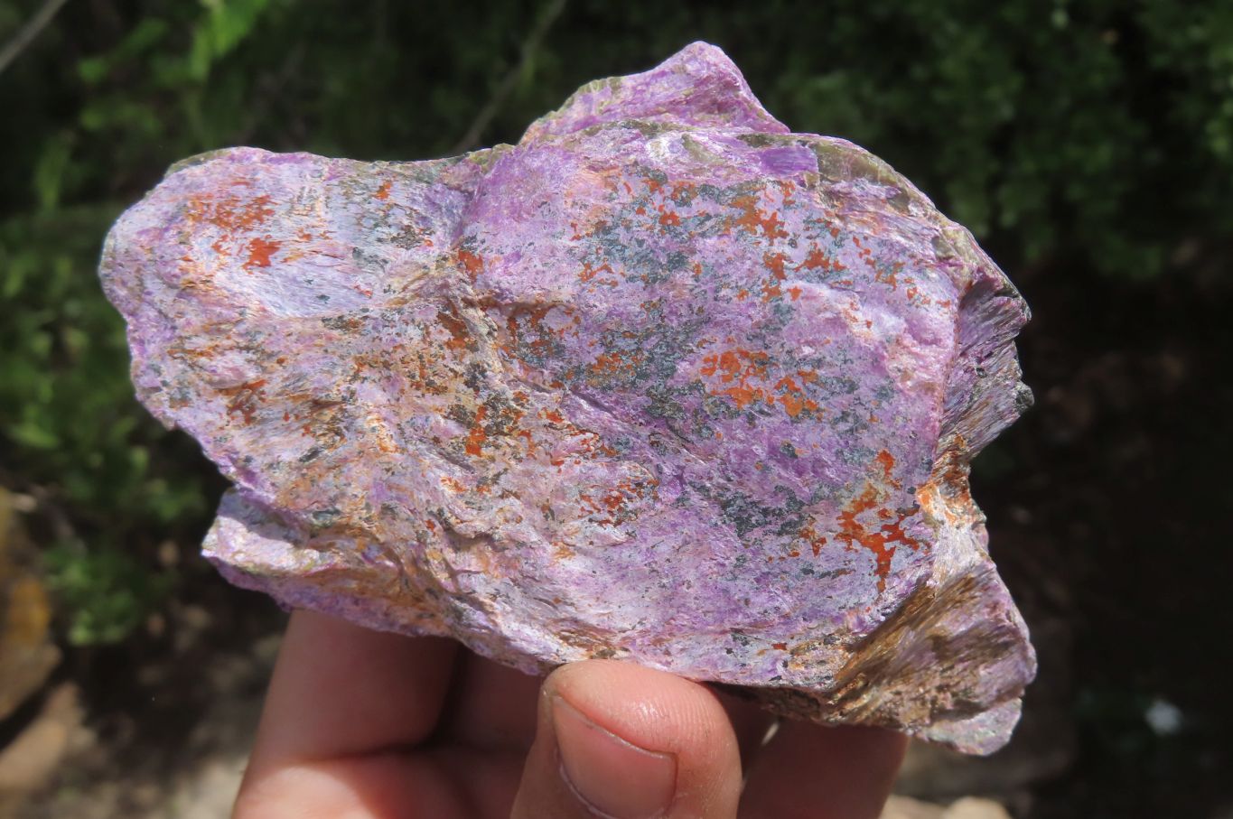 Natural Stichtite Cobbed Specimens x 12 From Barberton, South Africa - Toprock Gemstones and Minerals 