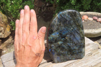 Polished Labradorite Standing Free Form x 1 From Tulear, Madagascar - Toprock Gemstones and Minerals 