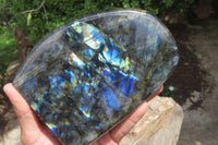 Polished Labradorite Standing Free Form x 1 From Tulear, Madagascar - Toprock Gemstones and Minerals 