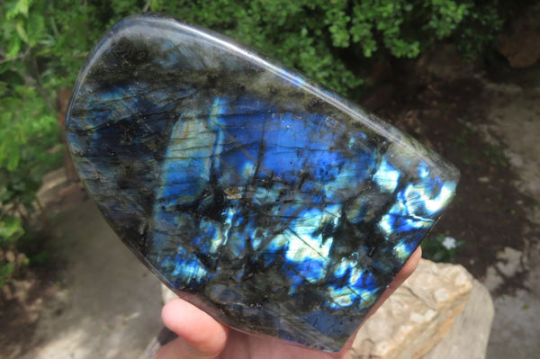 Polished Labradorite Standing Free Form x 1 From Tulear, Madagascar - Toprock Gemstones and Minerals 