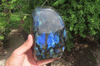 Polished Labradorite Standing Free Form x 1 From Tulear, Madagascar - Toprock Gemstones and Minerals 