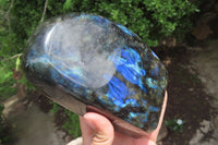 Polished Labradorite Standing Free Form x 1 From Tulear, Madagascar - Toprock Gemstones and Minerals 