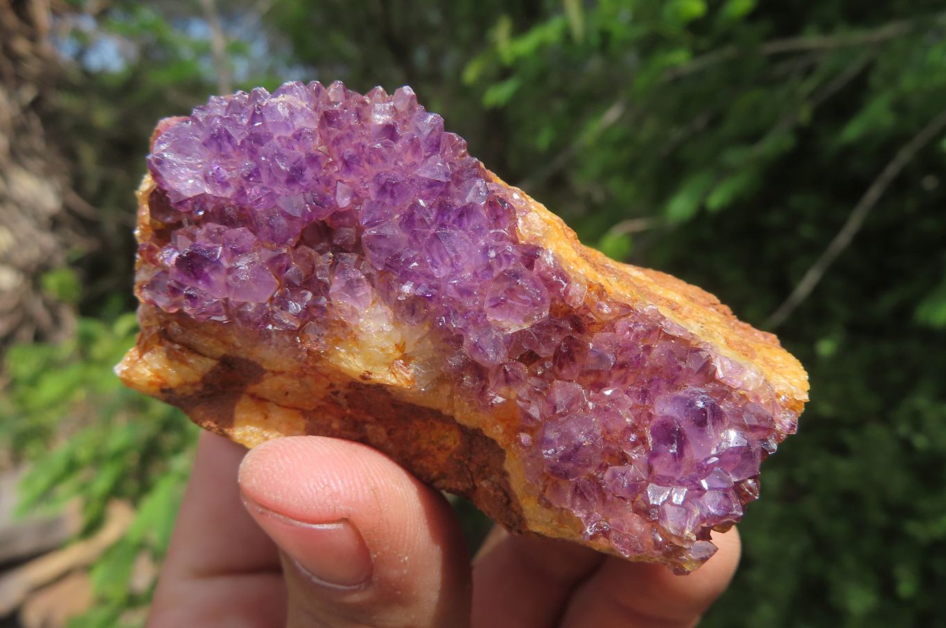 Natural Amethystos Amethyst Specimens x 12 From Kwaggafontein, South Africa - Toprock Gemstones and Minerals 
