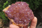 Natural Amethystos Amethyst Specimens x 12 From Kwaggafontein, South Africa - Toprock Gemstones and Minerals 