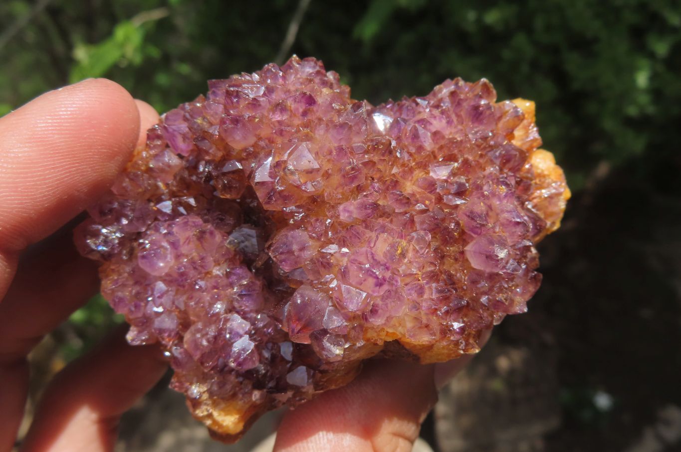 Natural Amethystos Amethyst Specimens x 12 From Kwaggafontein, South Africa - Toprock Gemstones and Minerals 