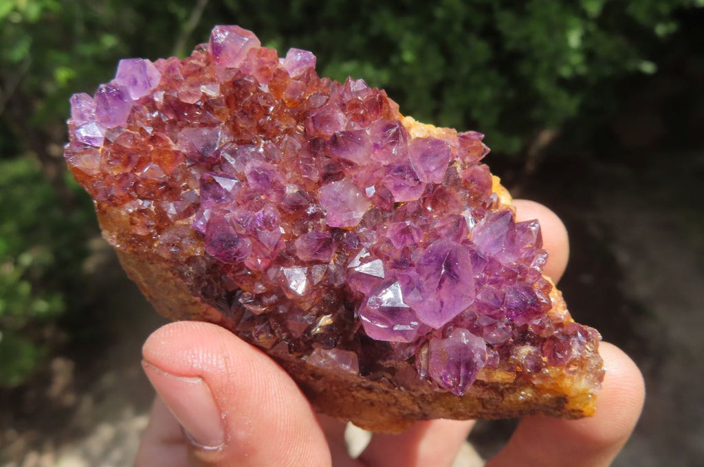 Natural Amethystos Amethyst Specimens x 12 From Kwaggafontein, South Africa - Toprock Gemstones and Minerals 