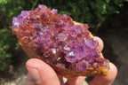 Natural Amethystos Amethyst Specimens x 12 From Kwaggafontein, South Africa - Toprock Gemstones and Minerals 