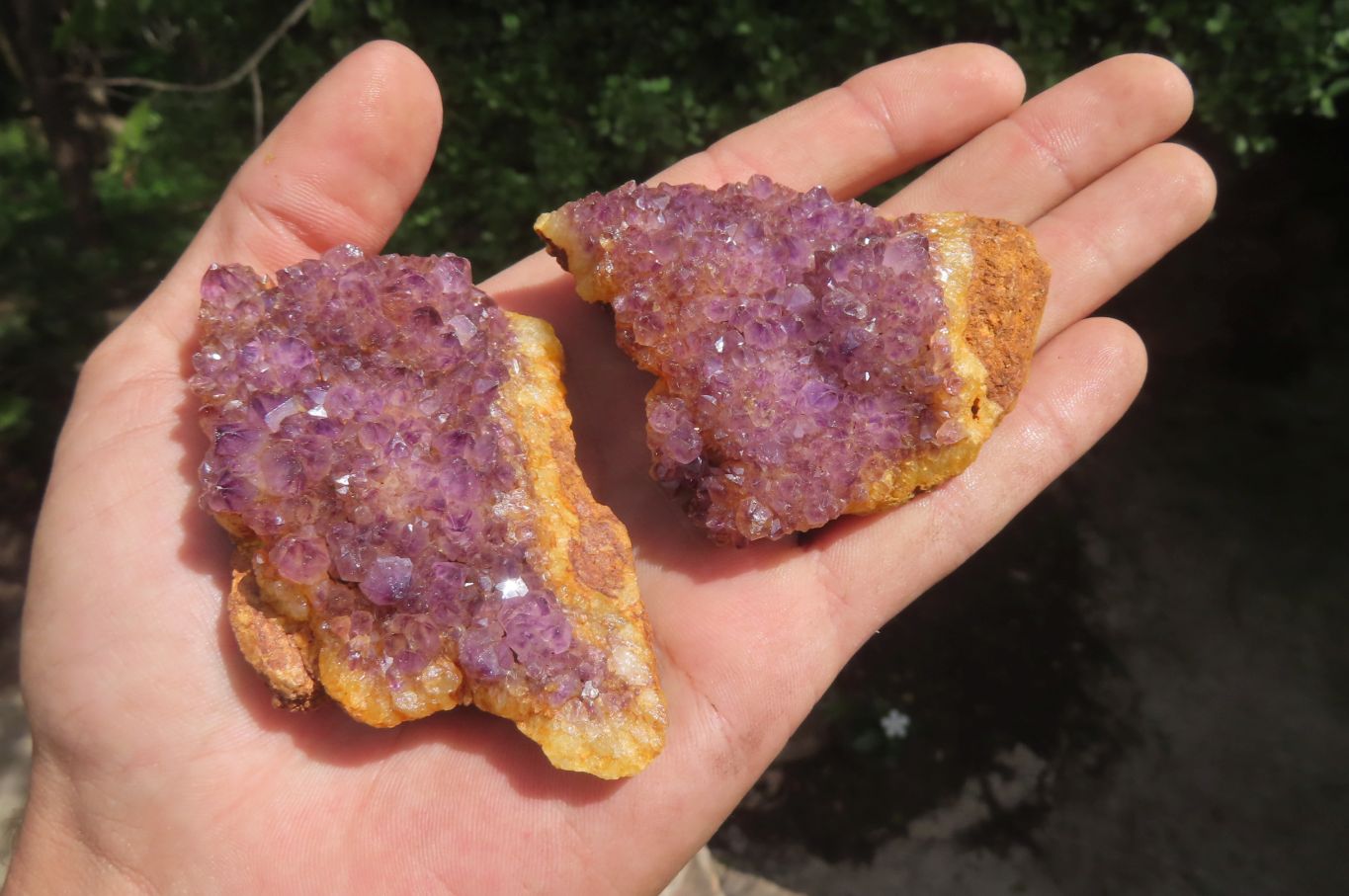 Natural Amethystos Amethyst Specimens x 12 From Kwaggafontein, South Africa - Toprock Gemstones and Minerals 