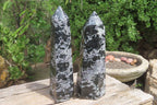 Polished Gabbro / Merlinite Points x 2 From Madagascar - Toprock Gemstones and Minerals 