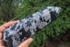 Polished Gabbro / Merlinite Points x 2 From Madagascar - Toprock Gemstones and Minerals 
