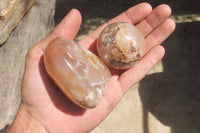 Polished Flower Agate Items x 6 From Madagascar - Toprock Gemstones and Minerals 