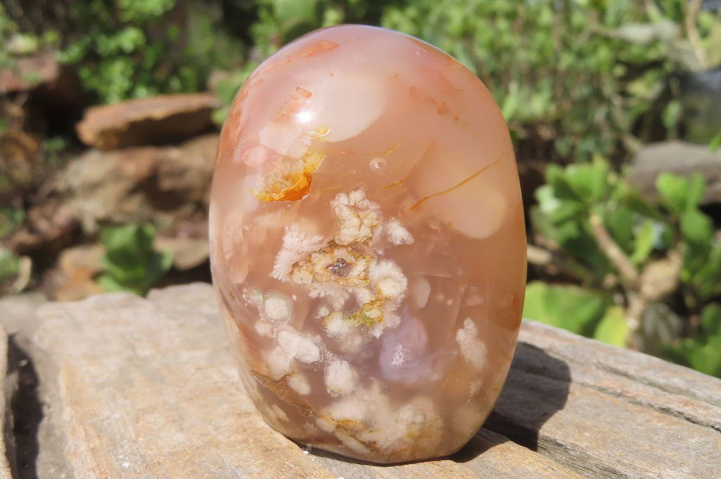 Polished Flower Agate Items x 6 From Madagascar - Toprock Gemstones and Minerals 