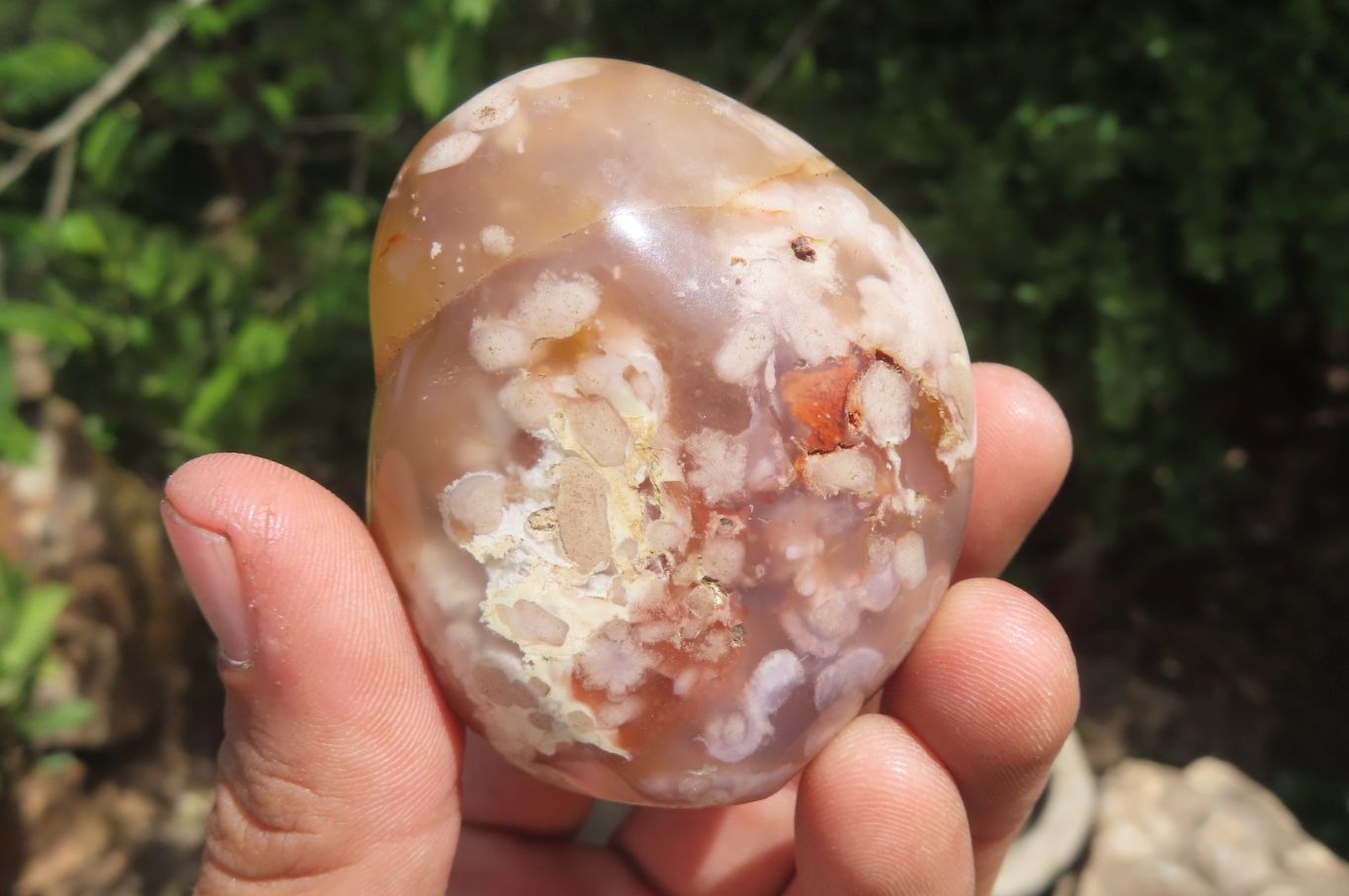 Polished Flower Agate Items x 6 From Madagascar - Toprock Gemstones and Minerals 